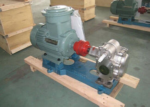 25 GPM Pump with XP Motor and Stainless Contact Parts.